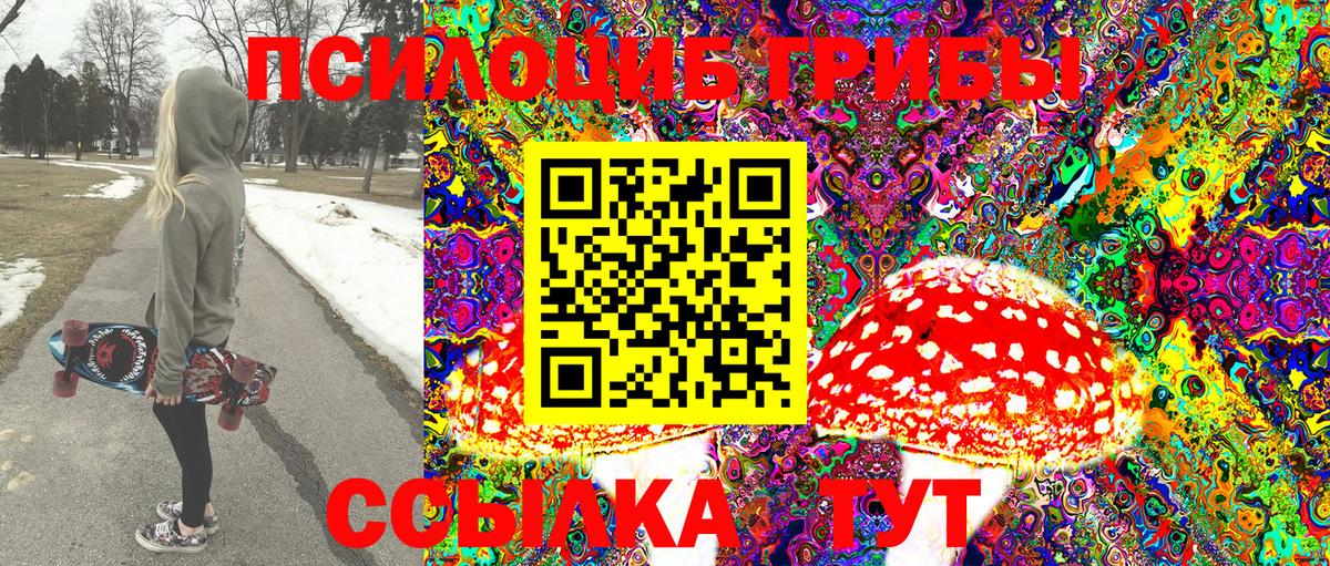 Ефремов  Псилоцибиновые грибы MAGIC MUSHROOMS  Вход с VPN 